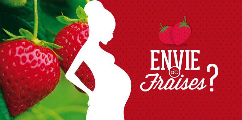 C'est le moment de venir cueillir des fraises ! Envie de fraises ?