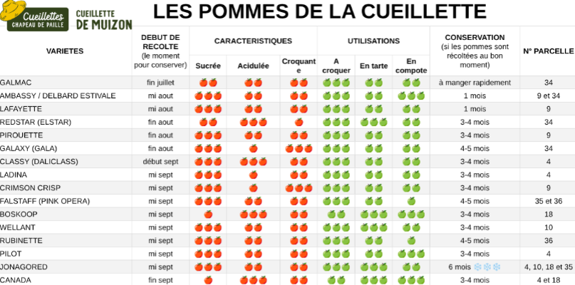 Les pommes de la cueillette