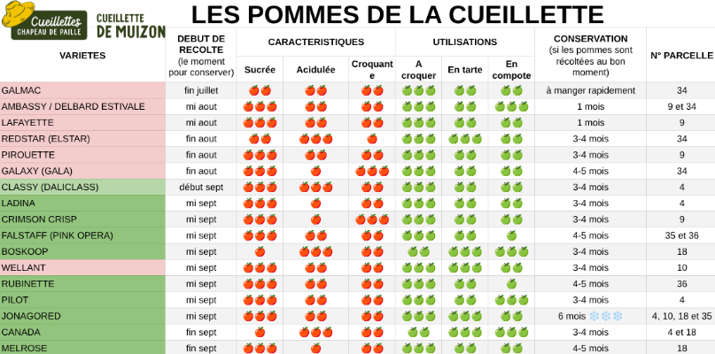 Les pommes de la cueillette
