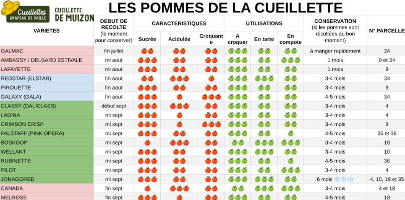 Les pommes de la cueillette