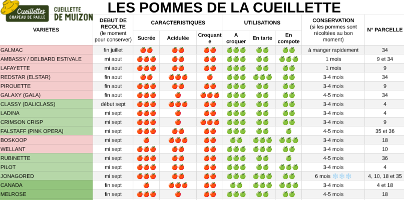 Les pommes de la cueillette